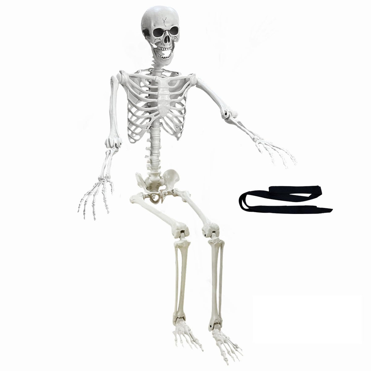 5.4Ft Poseable Life Size Human Skeleton with Rope Z398635