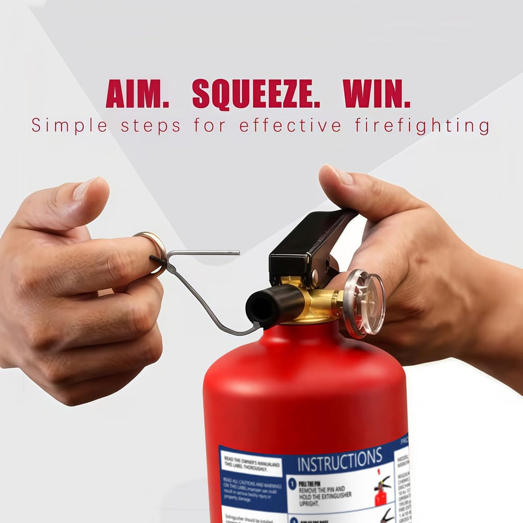 2.5 lb Dry Chemical Fire Extinguisher V88237