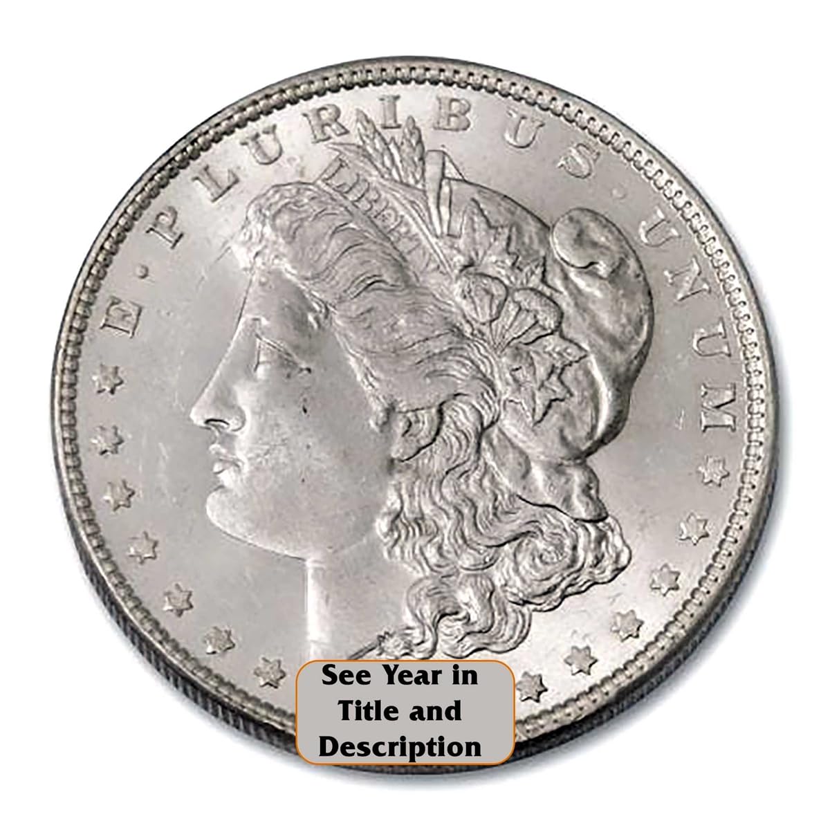 Morgan Silver Dollar R941576