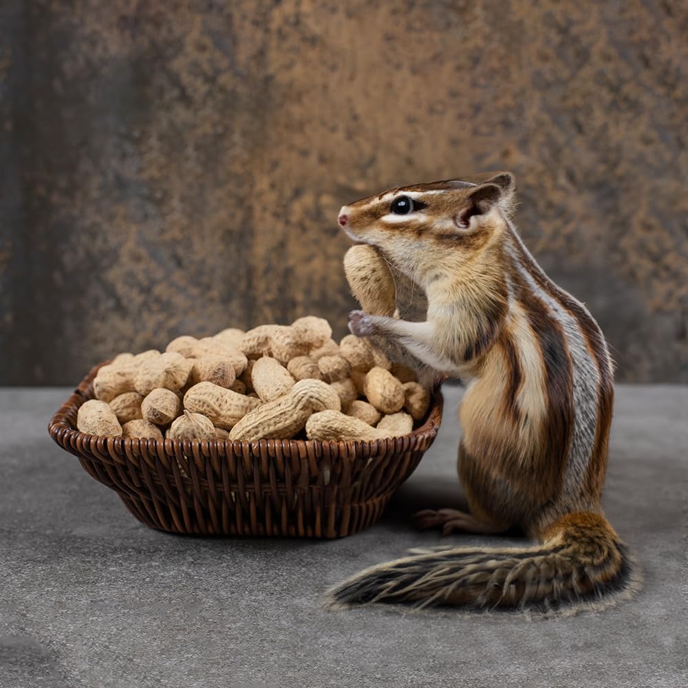 Peanuts In Shell 2 lbs K745