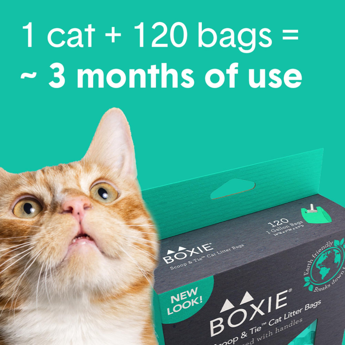 120 Count Leak-Proof Pet Waste Bags with Easy-to-Tie Handles B994921