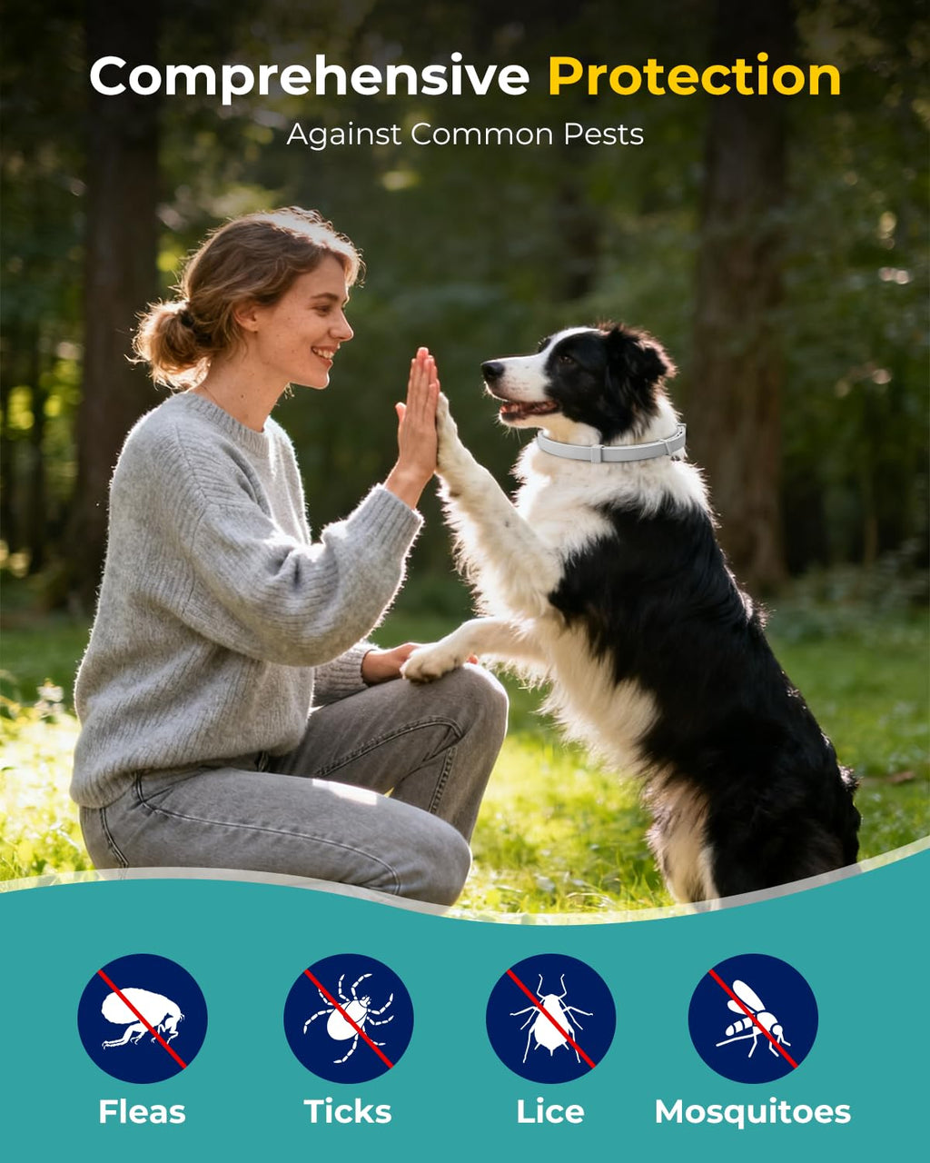 4 Pack Flea and Tick Collar for Small Dogs Under 18 lbs D5699