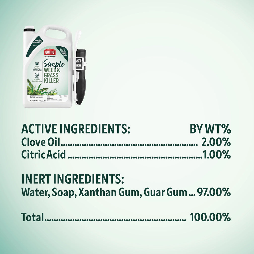 Weed & Grass Killer with Comfort Wand, 1 gal. V678