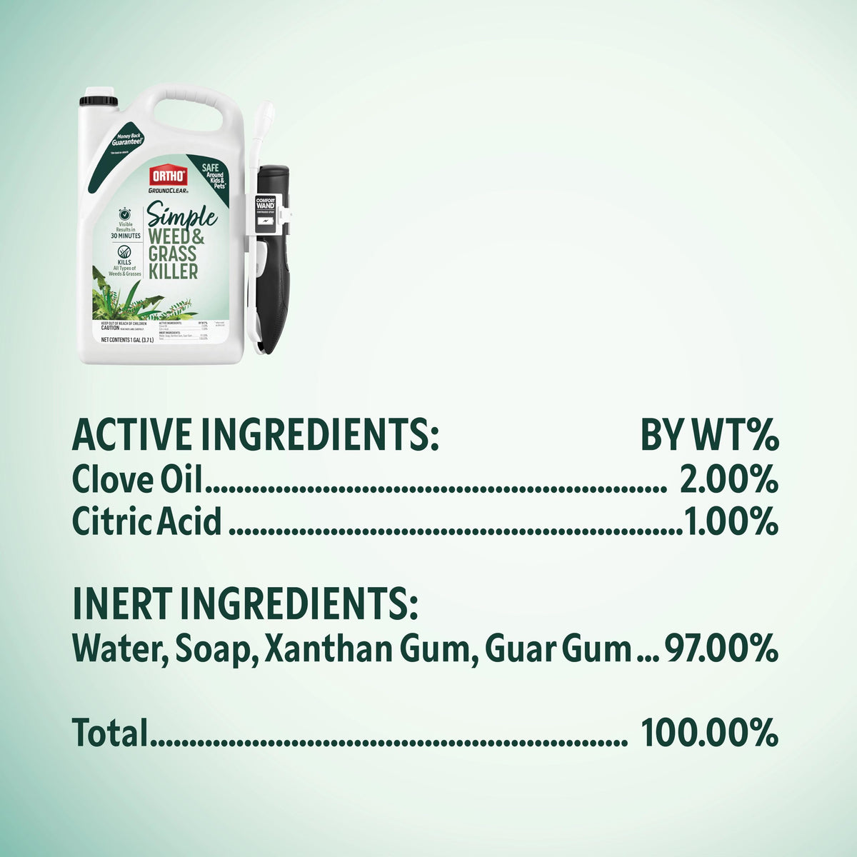 Weed & Grass Killer with Comfort Wand, 1 gal. V678