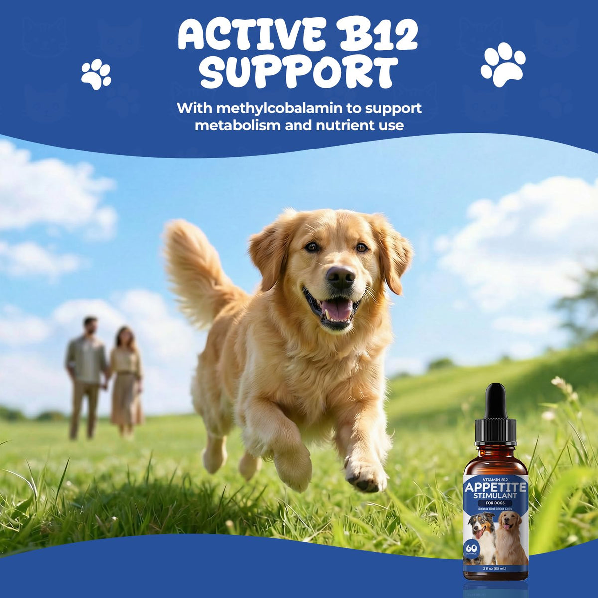 Vitamin B12 Liquid Drops with Methylcobalamin H81111