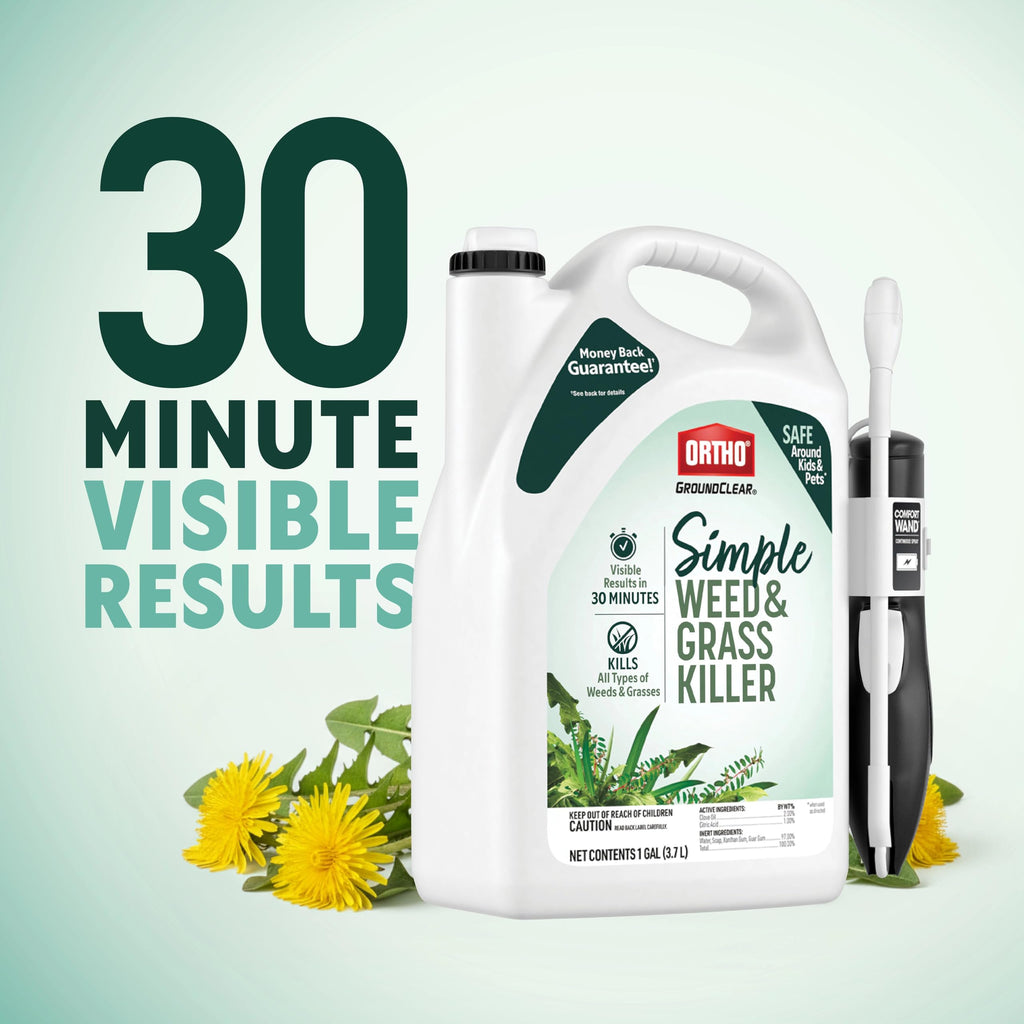 Weed & Grass Killer with Comfort Wand, 1 gal. V678