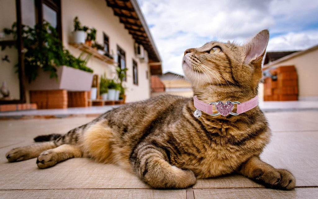 Pink Cat Collar with Safety Belt and Bell K179