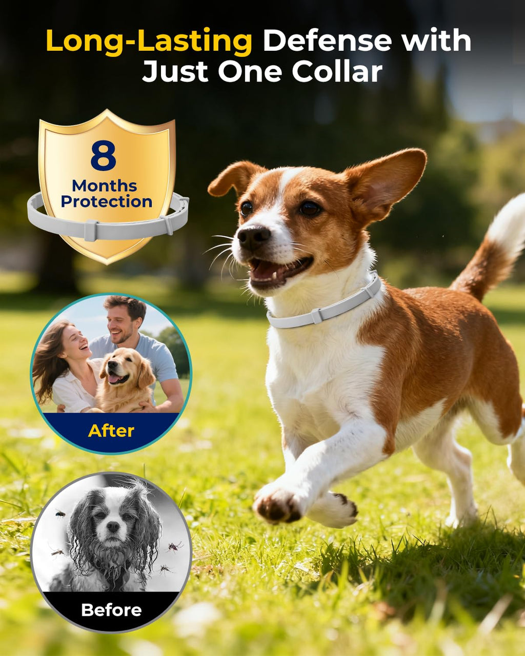 4 Pack Flea and Tick Collar for Small Dogs Under 18 lbs D5699