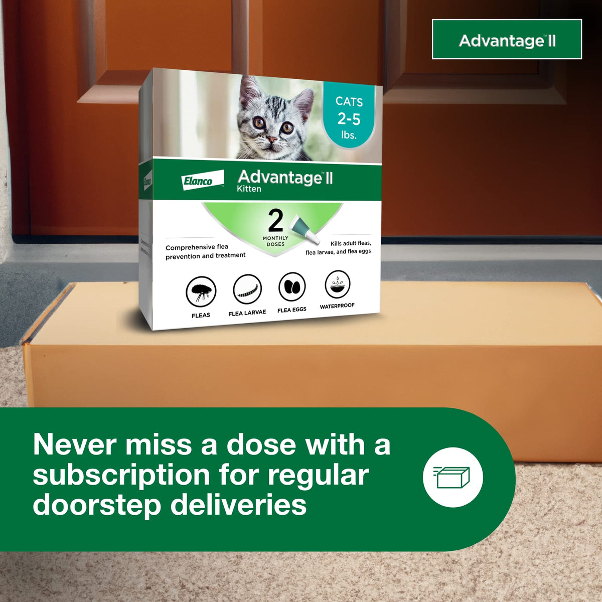Topical Flea Treatment & Prevention 2ct K1189