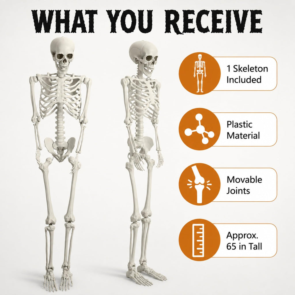 Life Size Posable Skeleton V809408
