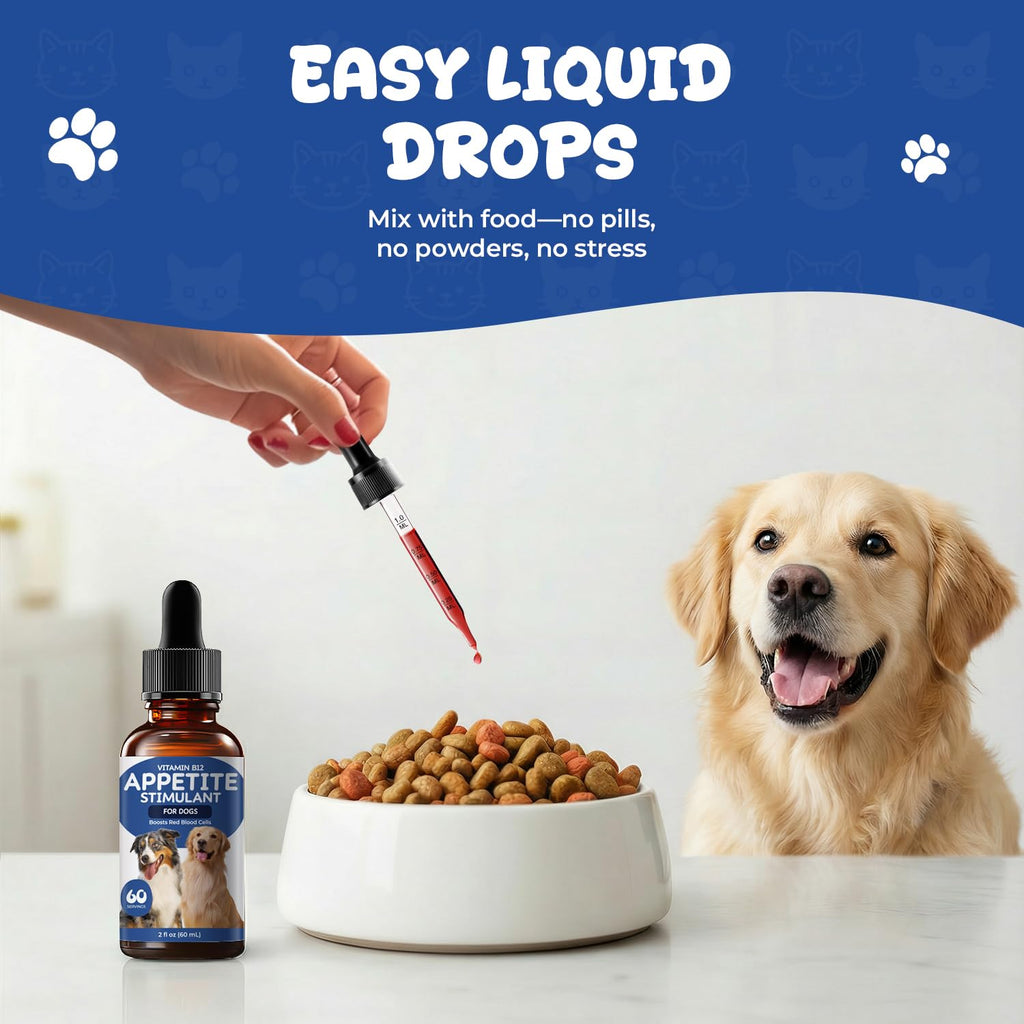 Vitamin B12 Liquid Drops with Methylcobalamin H81111