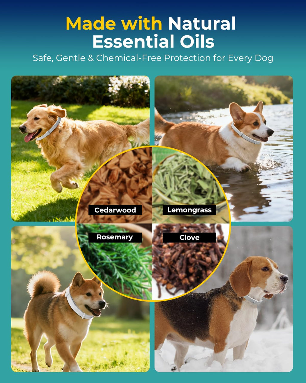 4 Pack Flea and Tick Collar for Small Dogs Under 18 lbs D5699