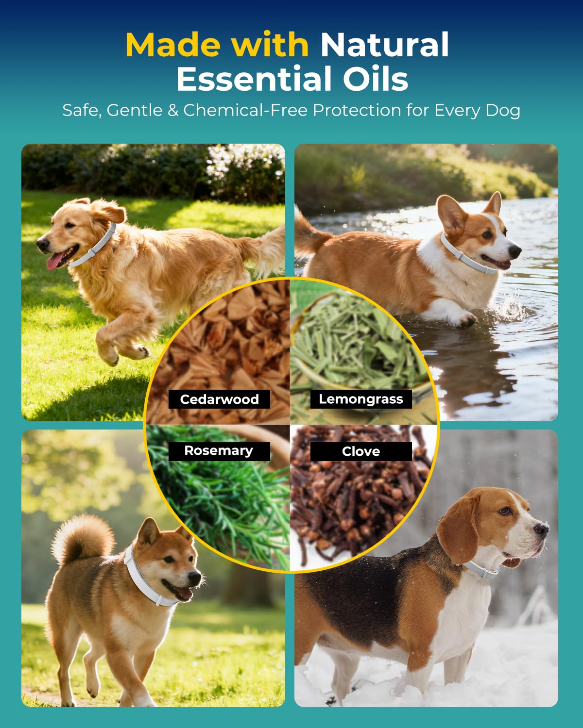4 Pack Flea and Tick Collar for Small Dogs Under 18 lbs D5699
