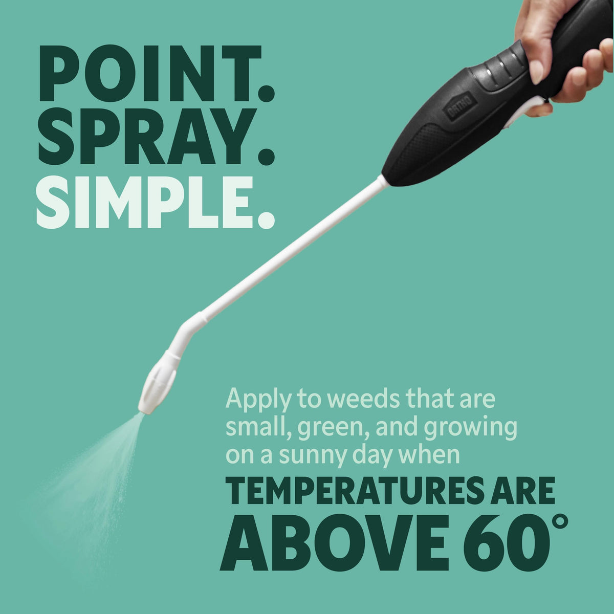 Weed & Grass Killer with Comfort Wand, 1 gal. V678