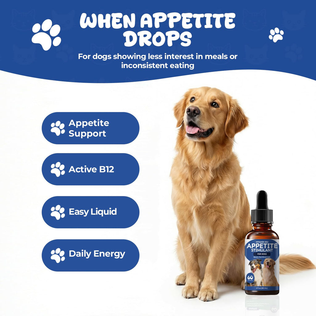 Vitamin B12 Liquid Drops with Methylcobalamin H81111