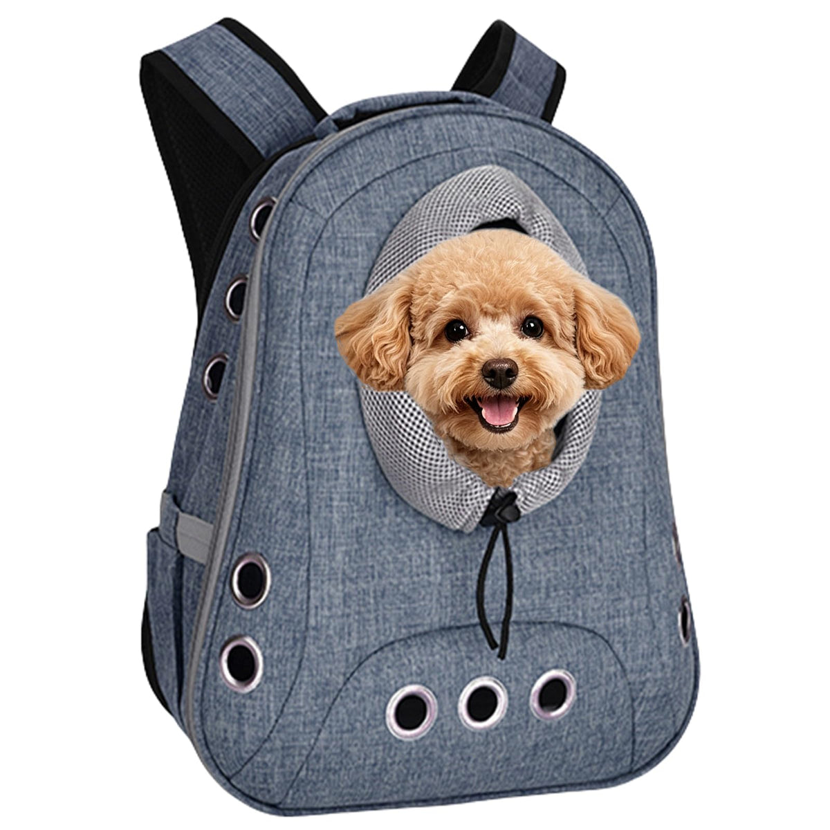 Ventilated Front Facing Dog Cat Backpack Carrier E91279