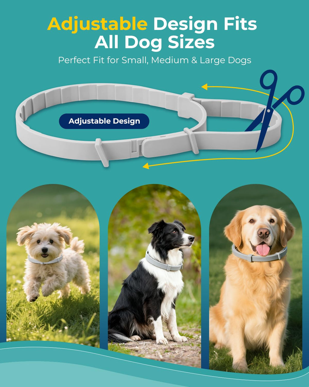 4 Pack Flea and Tick Collar for Small Dogs Under 18 lbs D5699