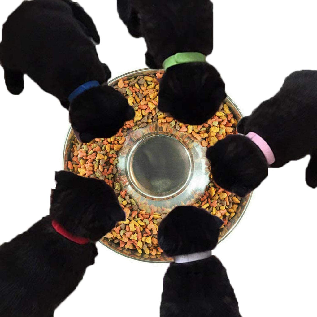 Stainless Steel Puppy Weaning Bowls U527