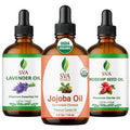 Rosehip Lavender Trio Glass Bottles with Droppers 4 Fl oz K3394