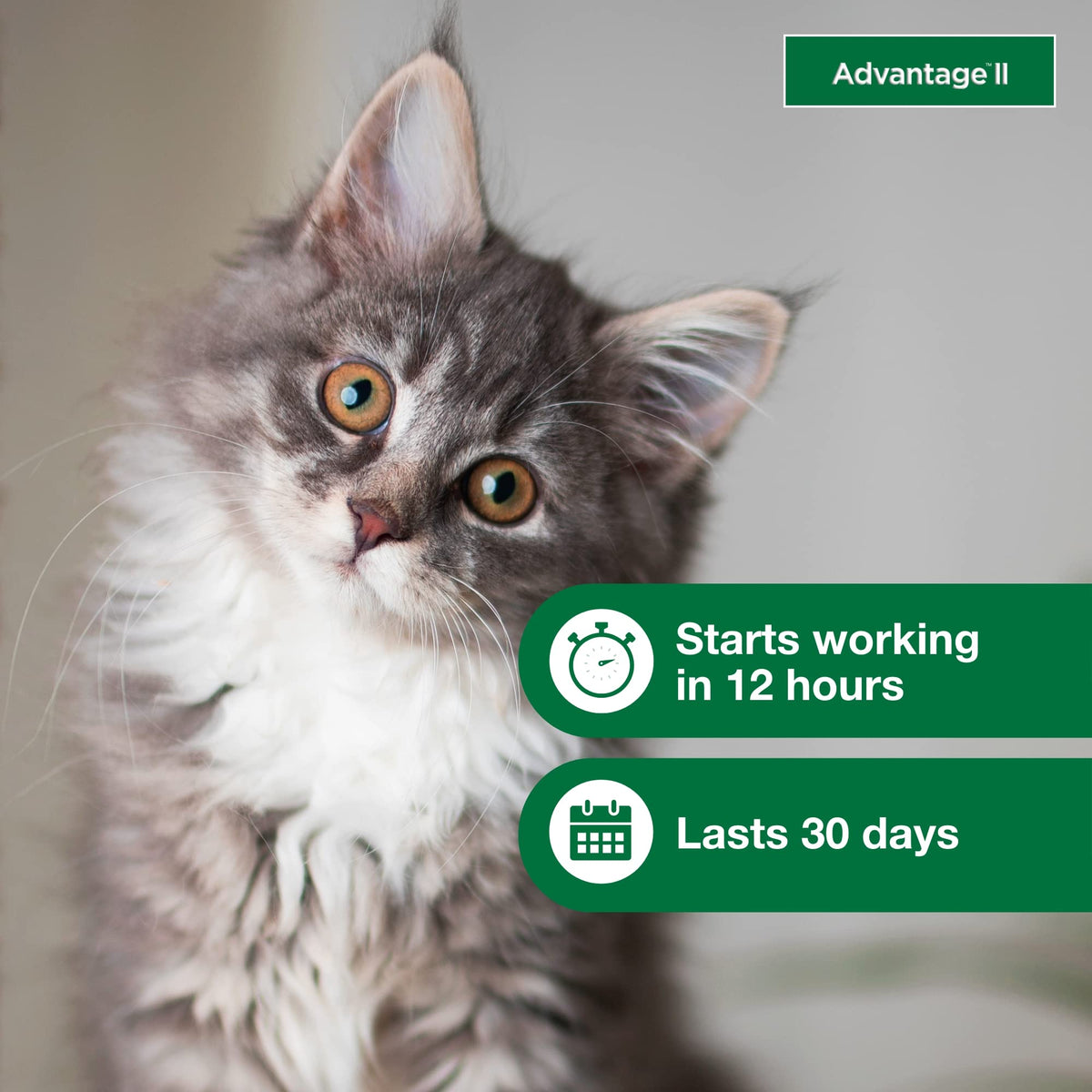 Topical Flea Treatment & Prevention 2ct K1189