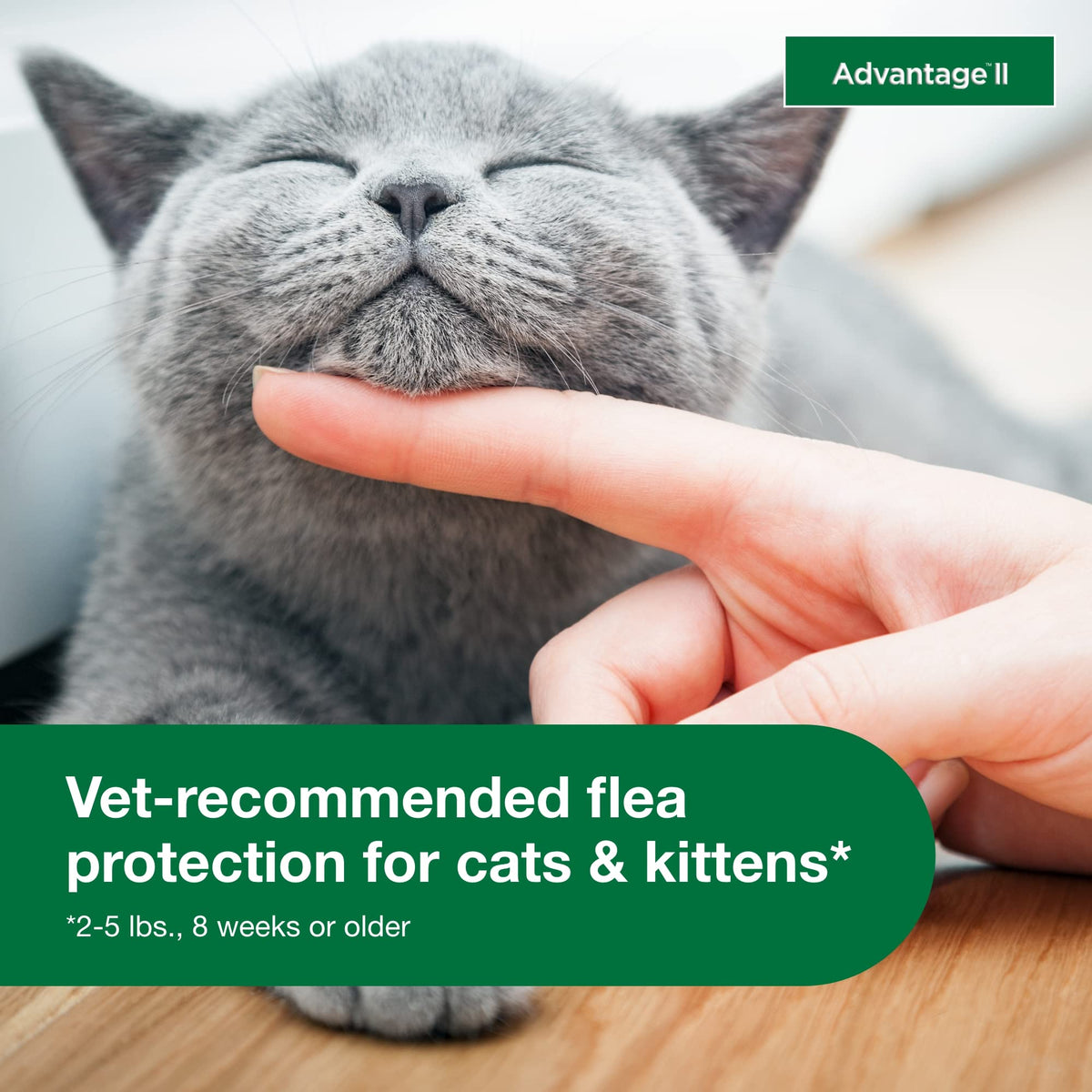 Topical Flea Treatment & Prevention 2ct K1189