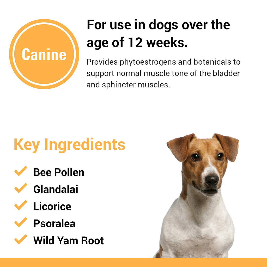 Dog Supplement 120 Count T30134