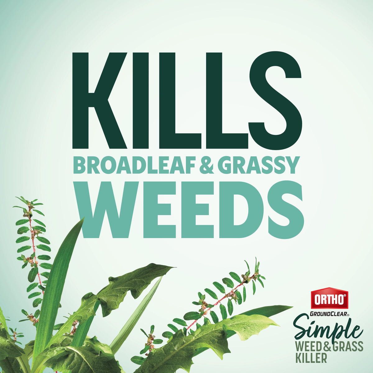 Weed & Grass Killer with Comfort Wand, 1 gal. V678