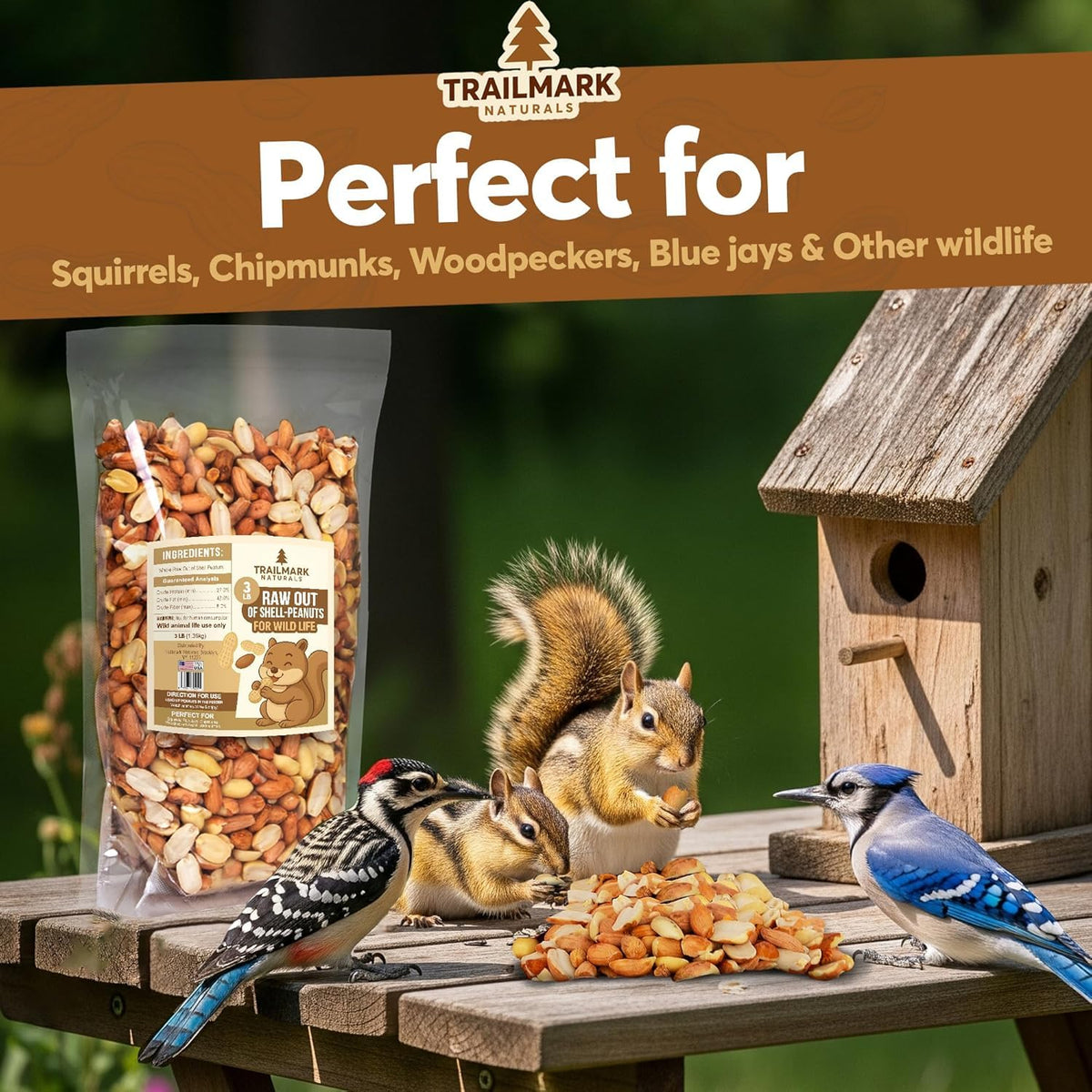 Raw Shelled Peanuts 15 LB E929073