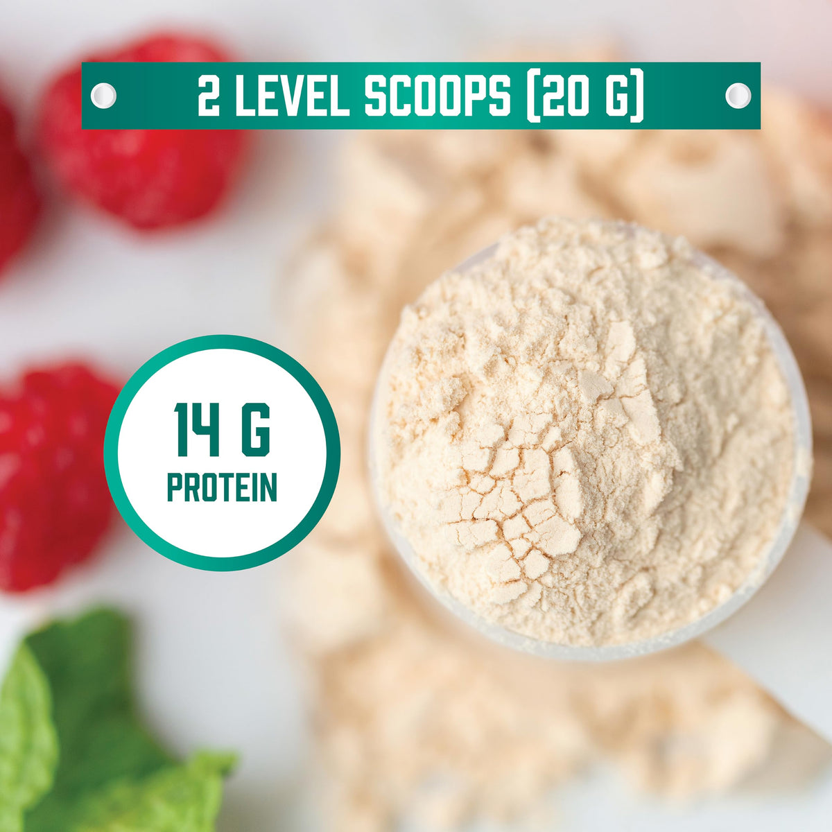 Organic Pea Protein Powder 1.5 lbs P890
