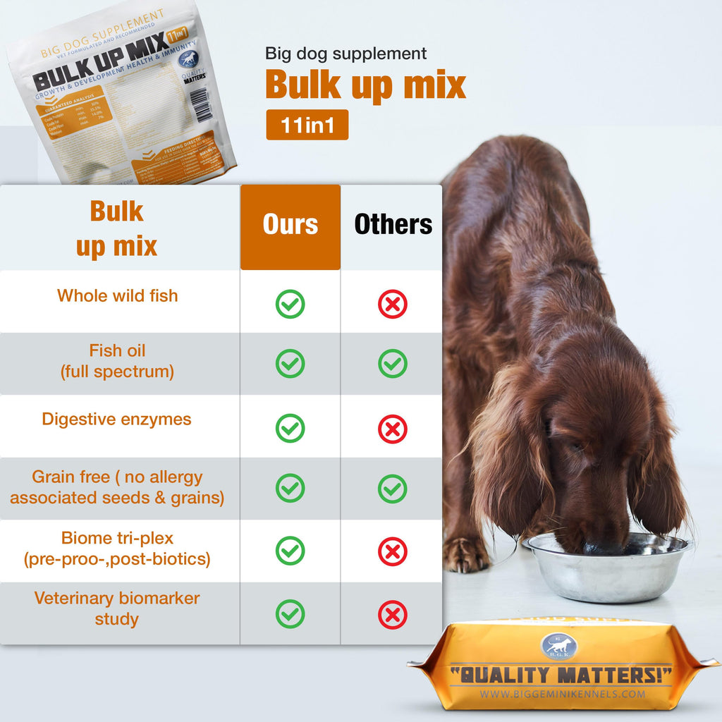 Big Dog Supplement A823276