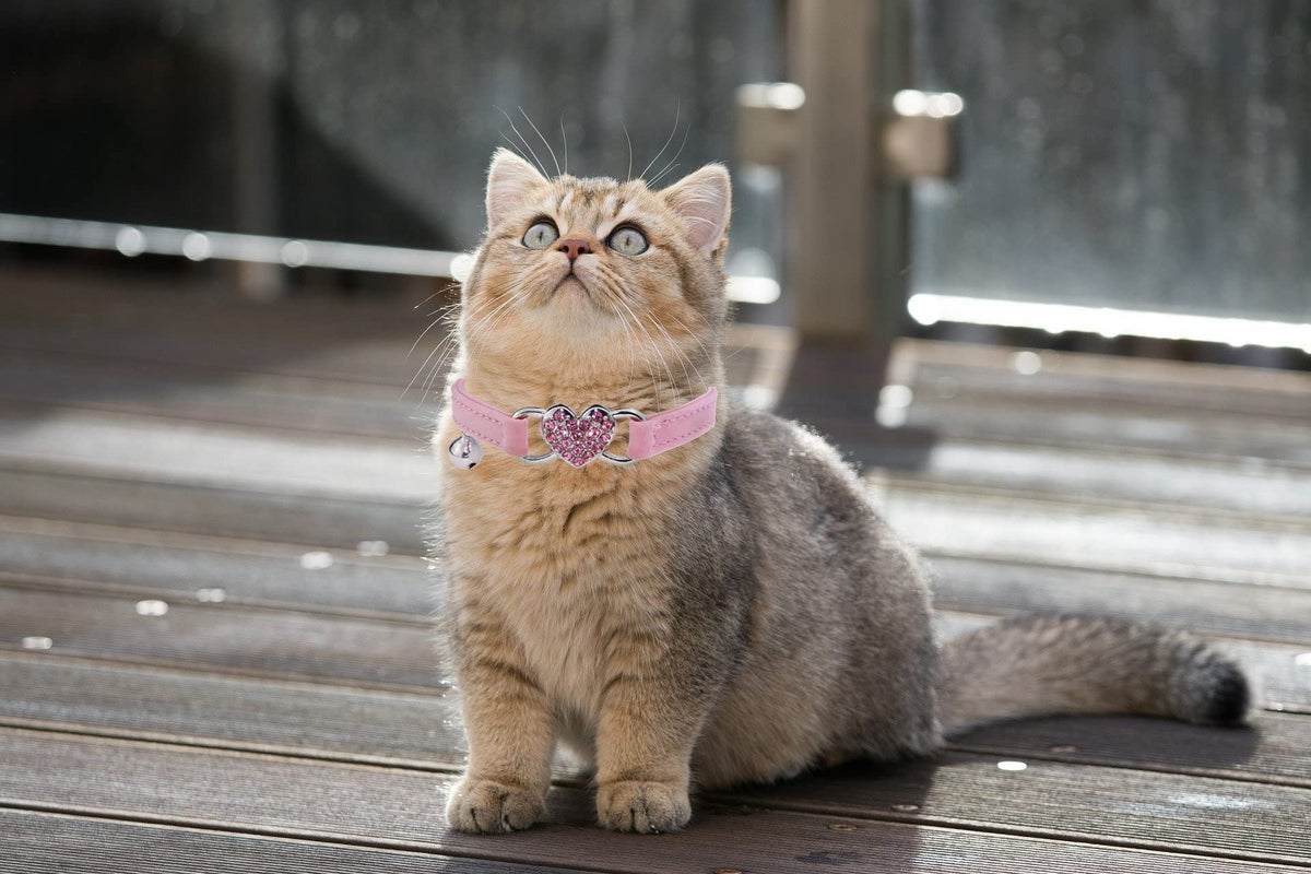 Pink Cat Collar with Safety Belt and Bell K179