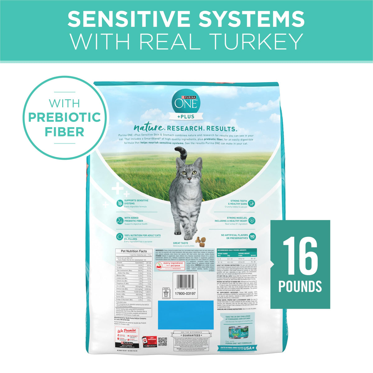 Sensitive Skin and Stomach Dry Cat Food 16 lb Bag J331
