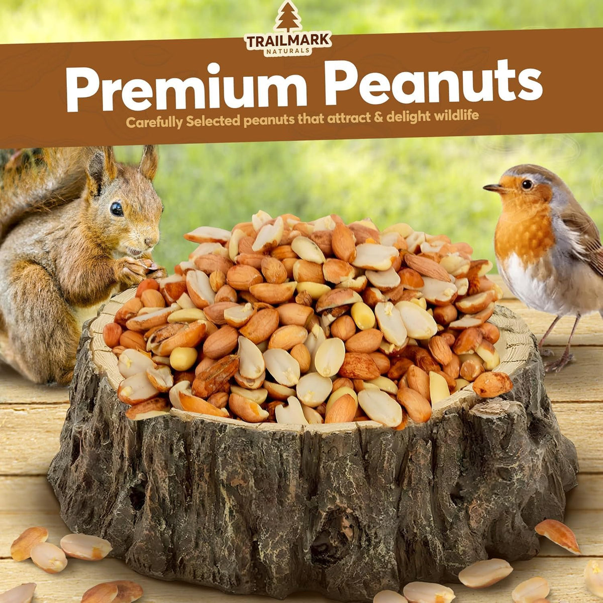 Raw Shelled Peanuts 15 LB E929073