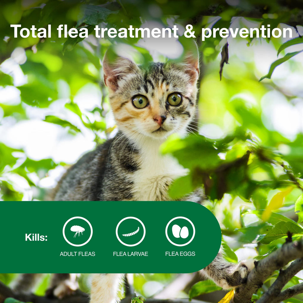 Topical Flea Treatment & Prevention 2ct K1189