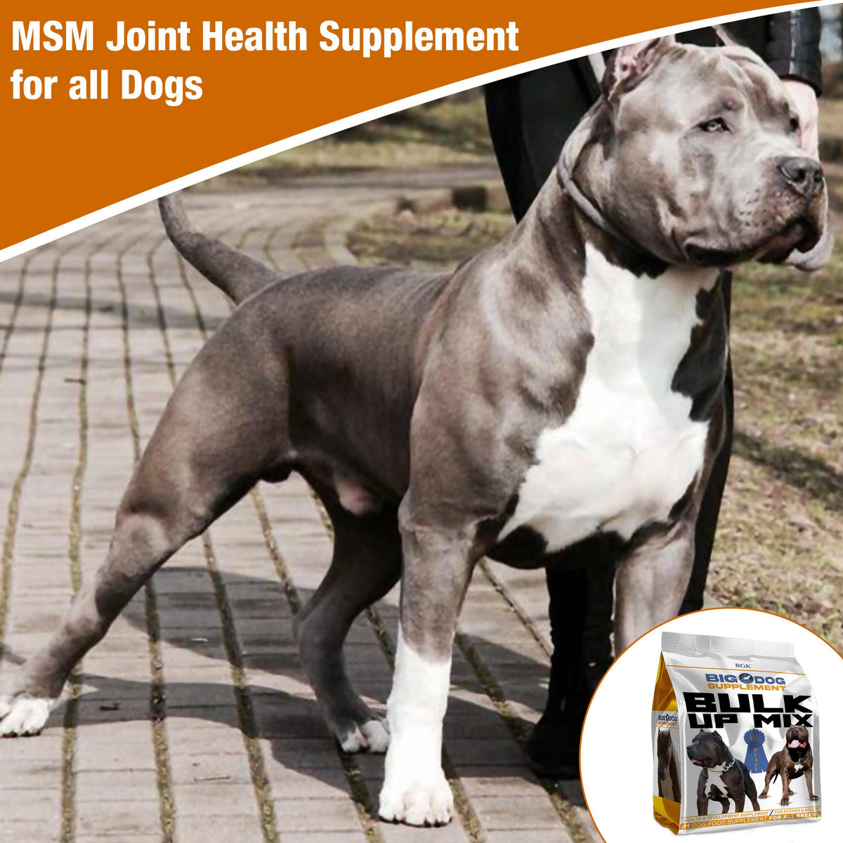 Big Dog Supplement A823276