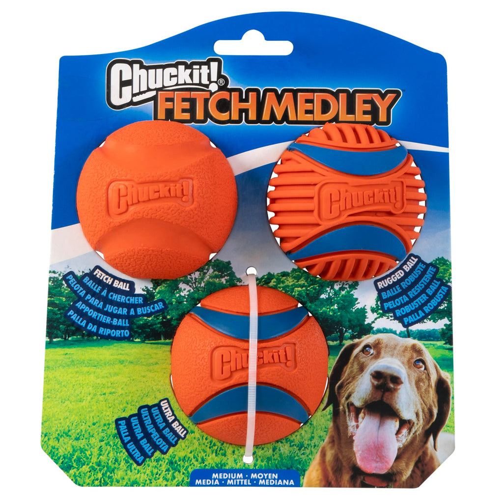 Dog Balls Set of 3 W23291