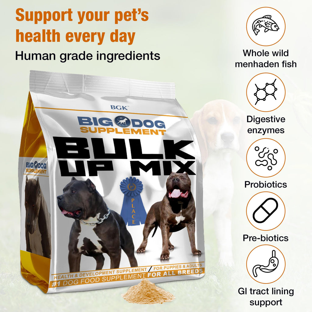 Big Dog Supplement A823276