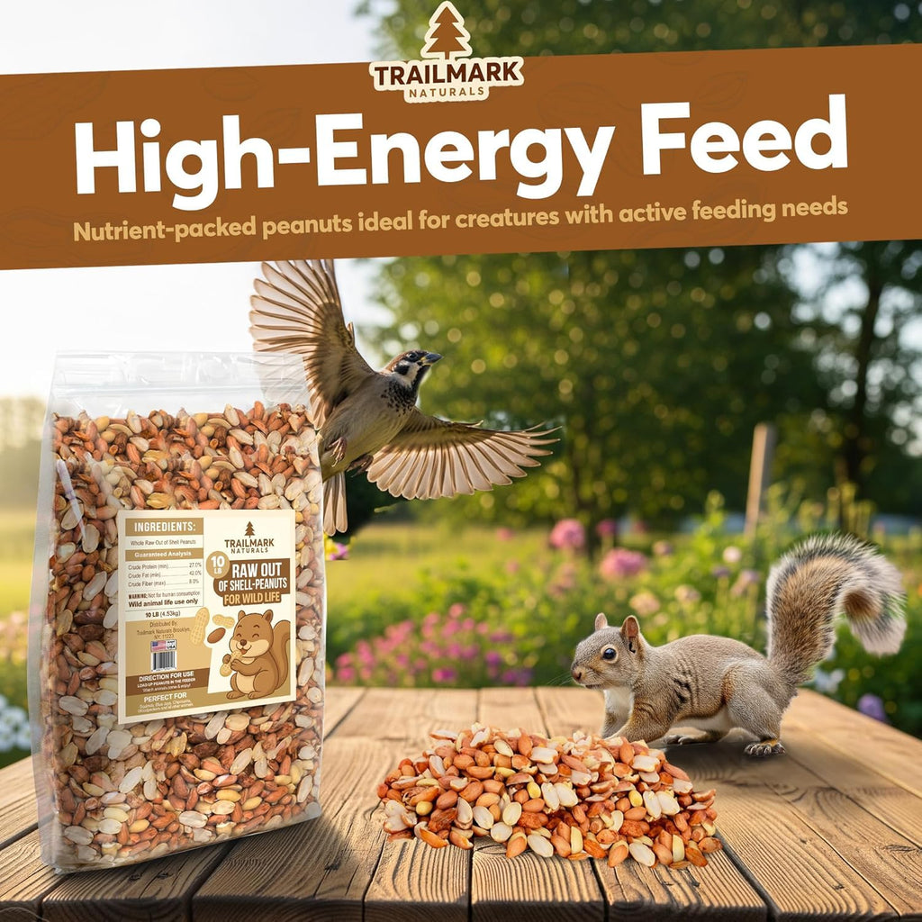 Raw Shelled Peanuts 15 LB E929073