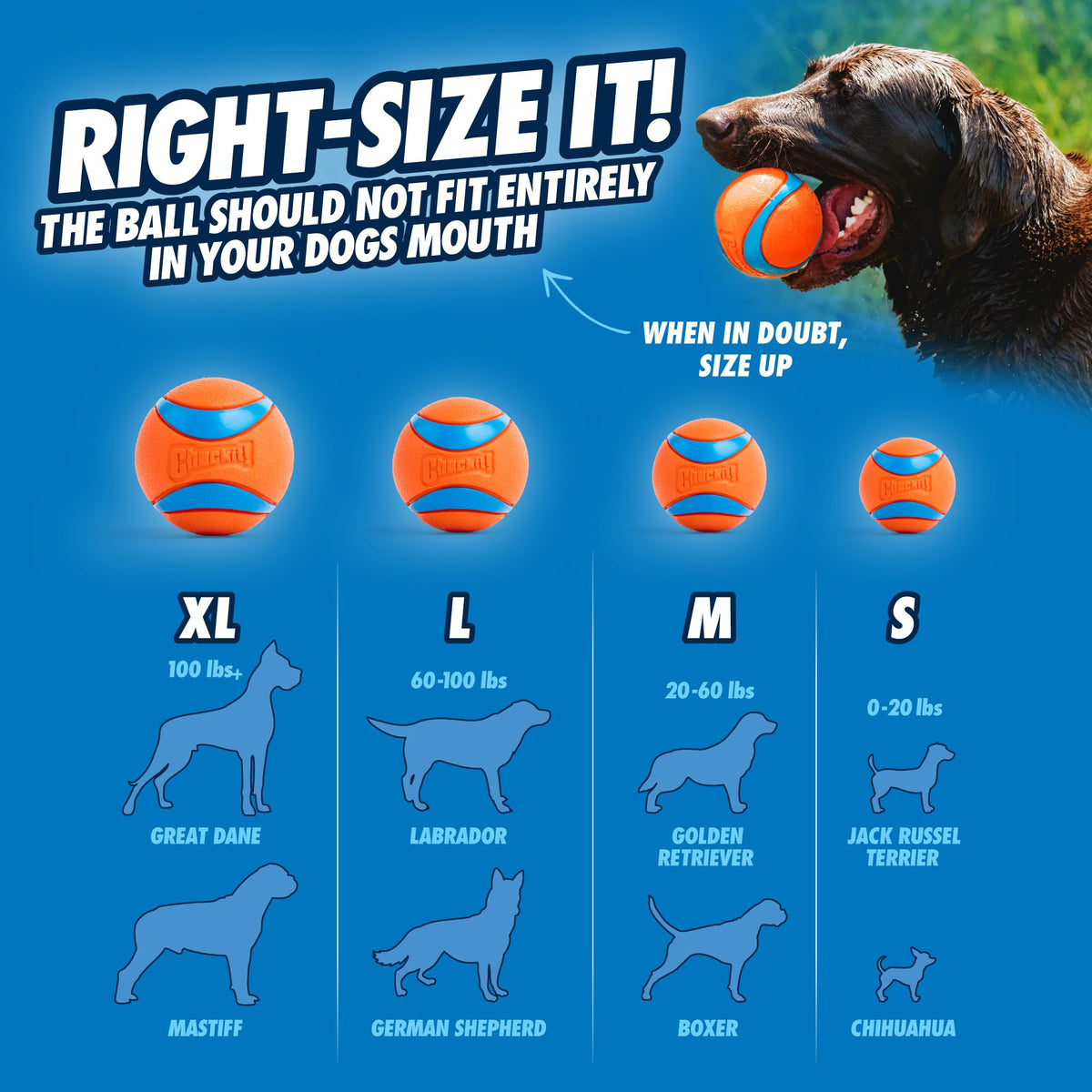 Dog Balls Set of 3 W23291