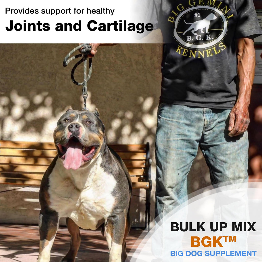 Big Dog Supplement A823276