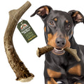 Deer Antler Dog Chew XL 8-10 in Z5429
