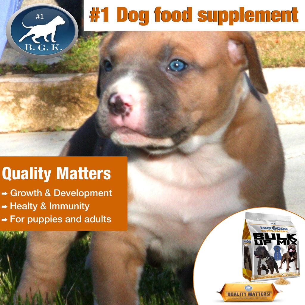 Big Dog Supplement A823276